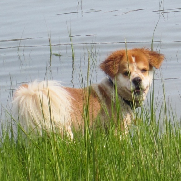 Meet Your Posher, Natalie - Picture 2 of 4